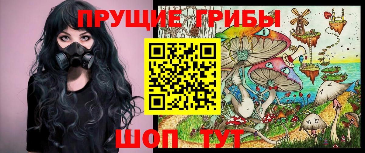 Галлюциногенные грибы мицелий Старая Купавна