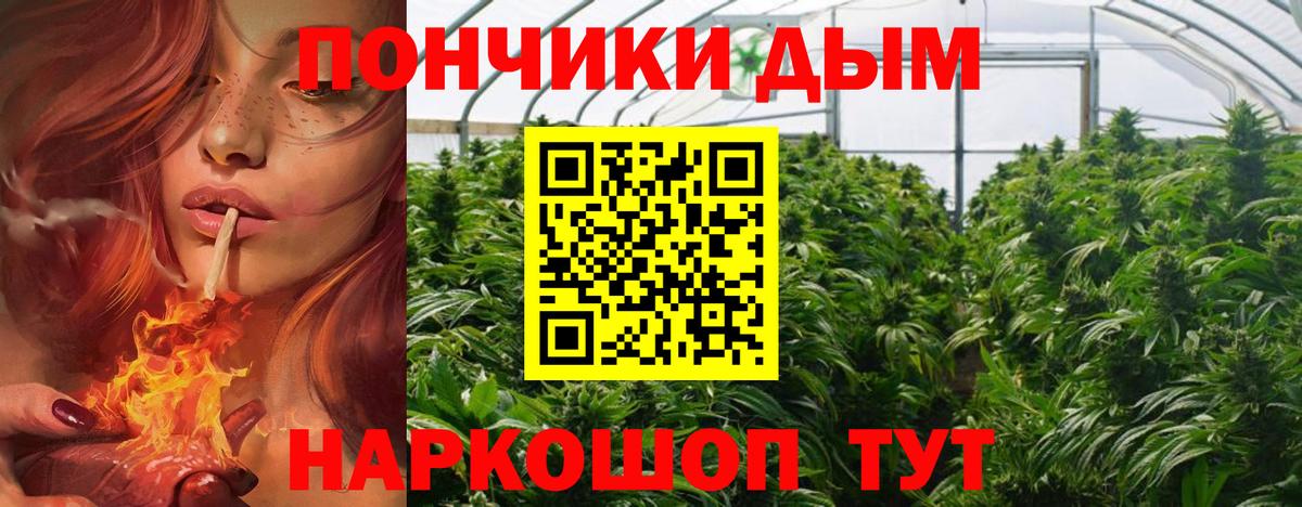 Старая Купавна  Бошки марихуана планчик  МАРИХУАНА MAZAR  Вход с VPN  Шишки марихуана индика  Канабис индика 